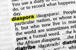 Cultural Ties - Diaspora- Diaspora Literature - IDentity- Twin identity